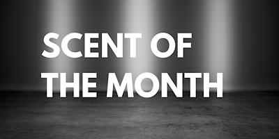 SCENTS OF THE MONTH - JANUARY ‘25