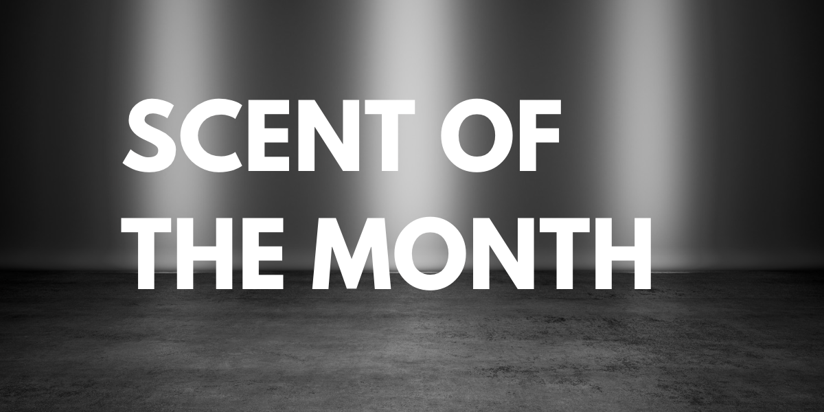 SCENT OF THE MONTH - JANUARY '26